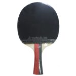 Paleta Tenis de Mesa Xushaofa T1008